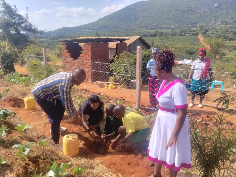 One acre food garden, fully fenced and equipped.